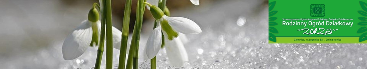 Rodzinny Ogród Działkowy "ZORZA" w Ziemnicach k/Legnicy
